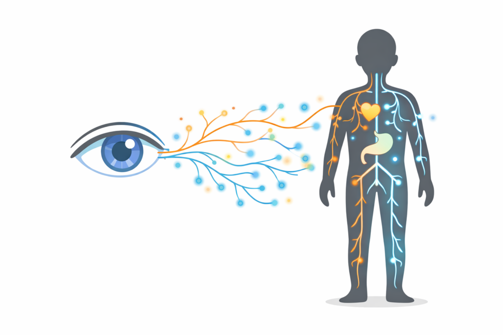 目と身体